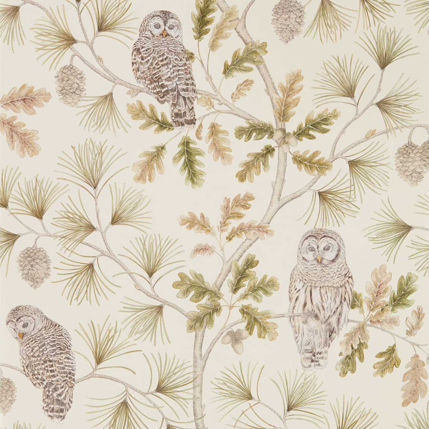 Sanderson Owlswick Briarwood 216597 Wallpaper Sample DYSI216597