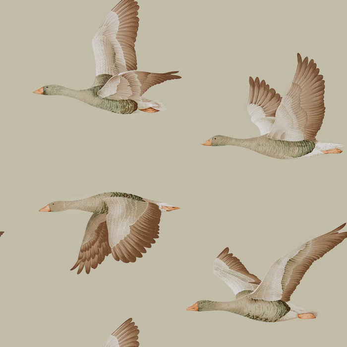 Sanderson Elysian Geese Briarwood 216609 Wallpaper Sample DYSI216609