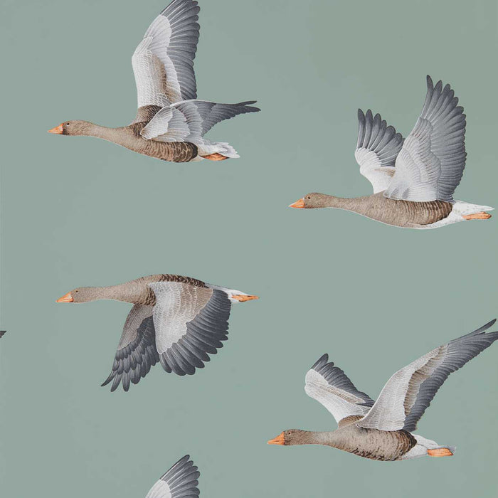 Sanderson Elysian Geese Blue Clay 216610 Wallpaper Sample DYSI216610