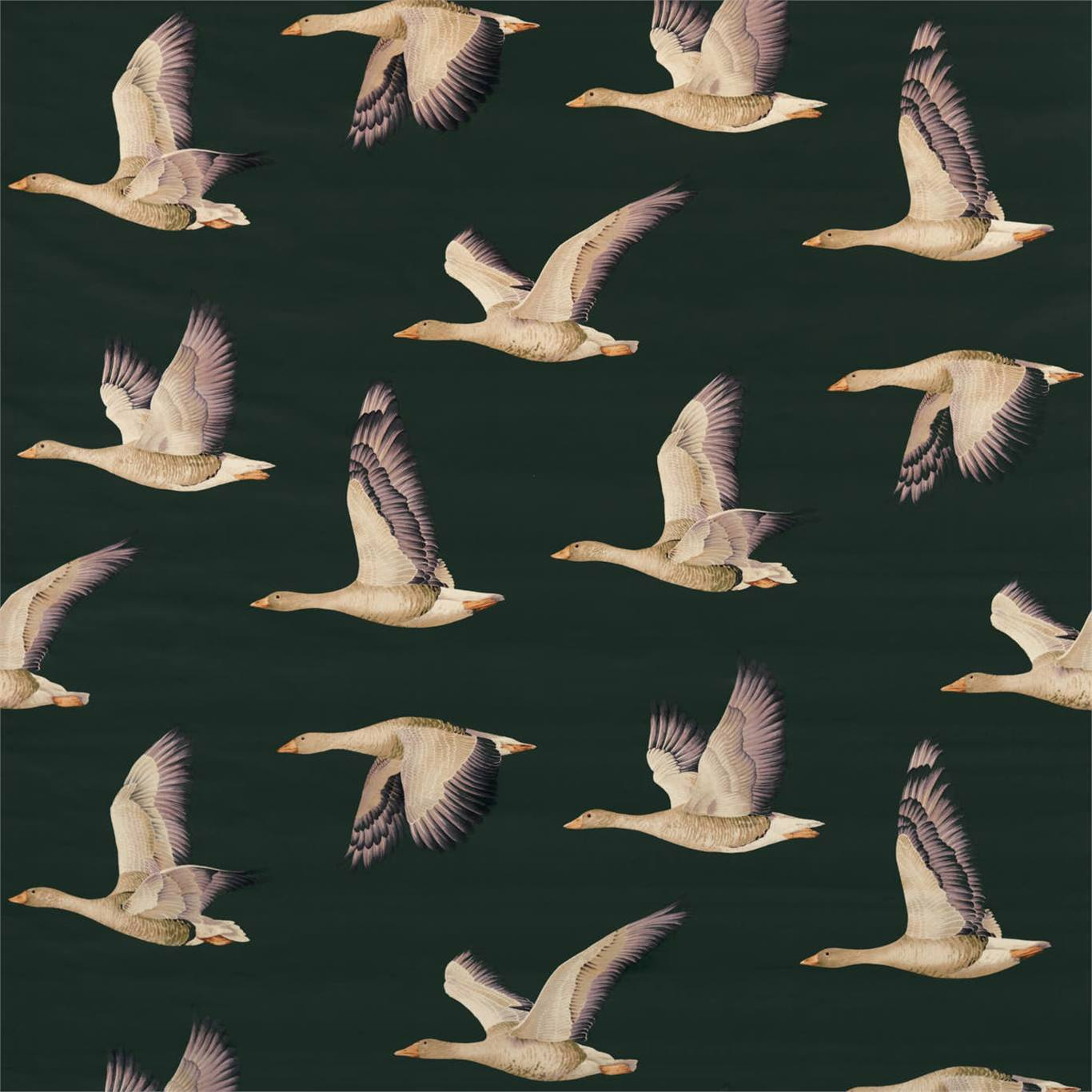 Sanderson Elysian Geese Forest/Fig 226519 Fabric Sample DYSI226519