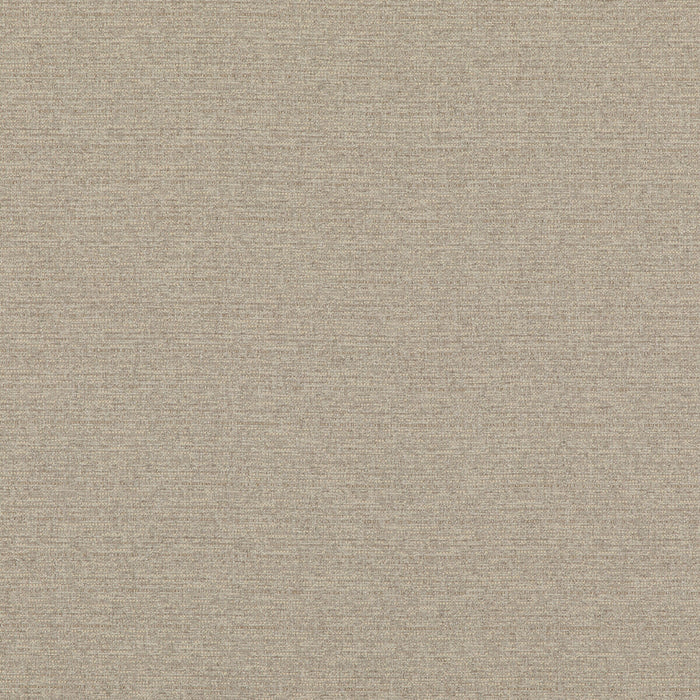 Threads Bara Ivory Fabric Sample ED85324.104.0