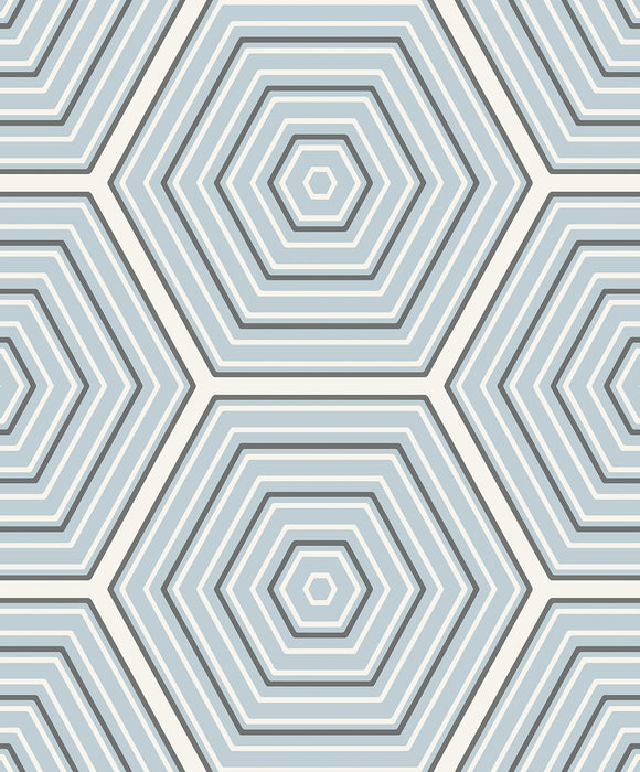 Seabrook Designs Hex Topography Sky Blue & Argos Grey Wallpaper Sample ET11902