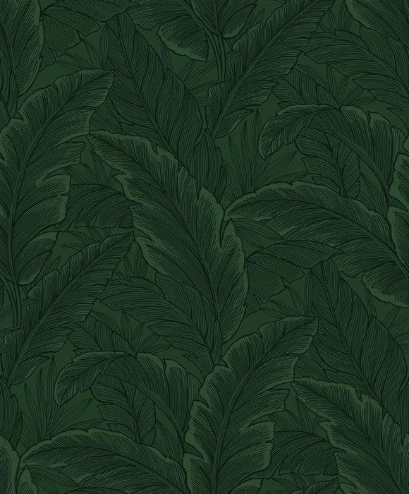 Seabrook Designs Gulf Tropical Leaves Forest Green Wallpaper ET13004