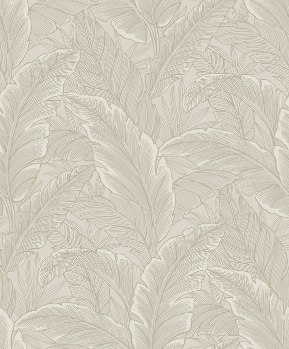 Seabrook Designs Gulf Tropical Leaves Crema Wallpaper ET13005