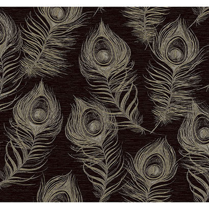 York Regal Peacock Black Wallpaper EV3942