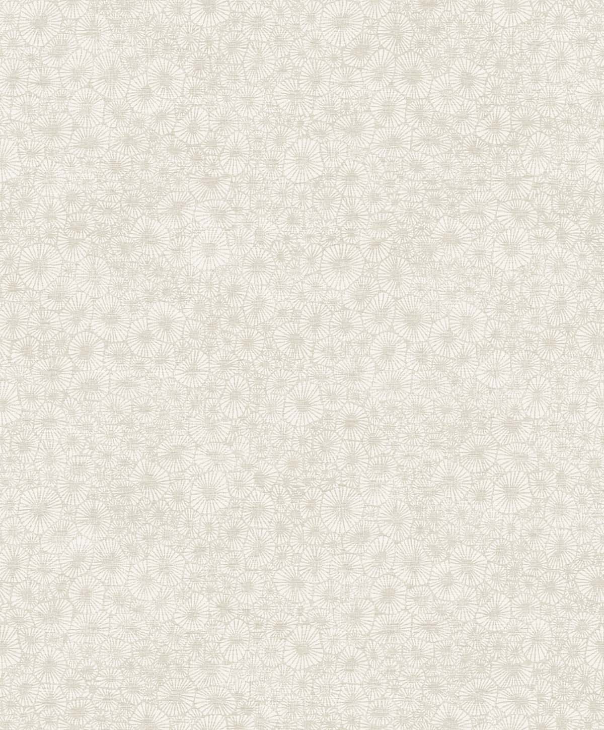 Seabrook Designs Windham Shells South Sea Pearl Wallpaper EW10705