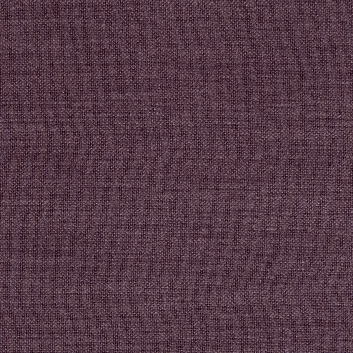 Clarke & Clarke Nantucket Grape Fabric Sample F0594/22.CAC.0