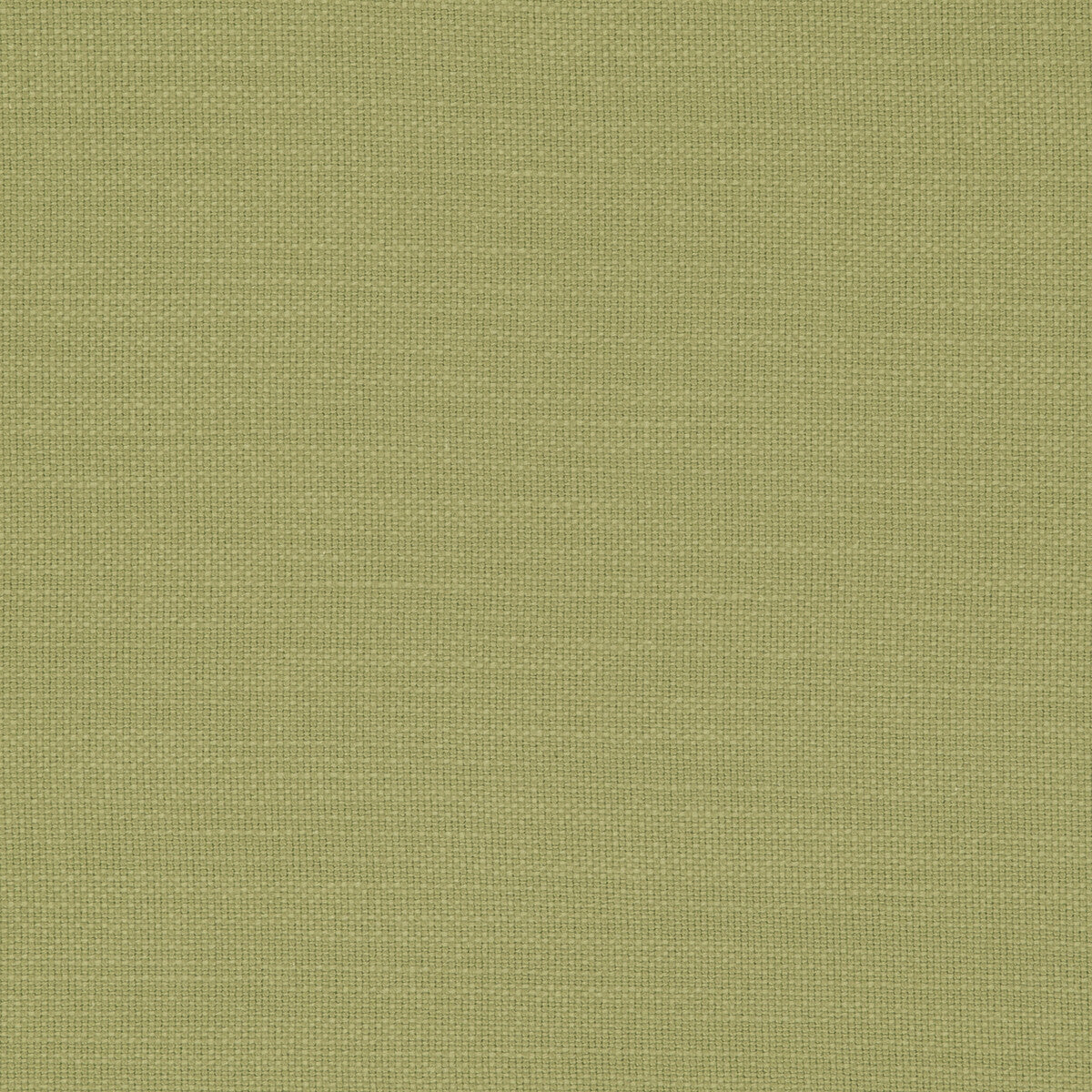 Clarke & Clarke Nantucket Willow Fabric Sample F0594/56.CAC.0