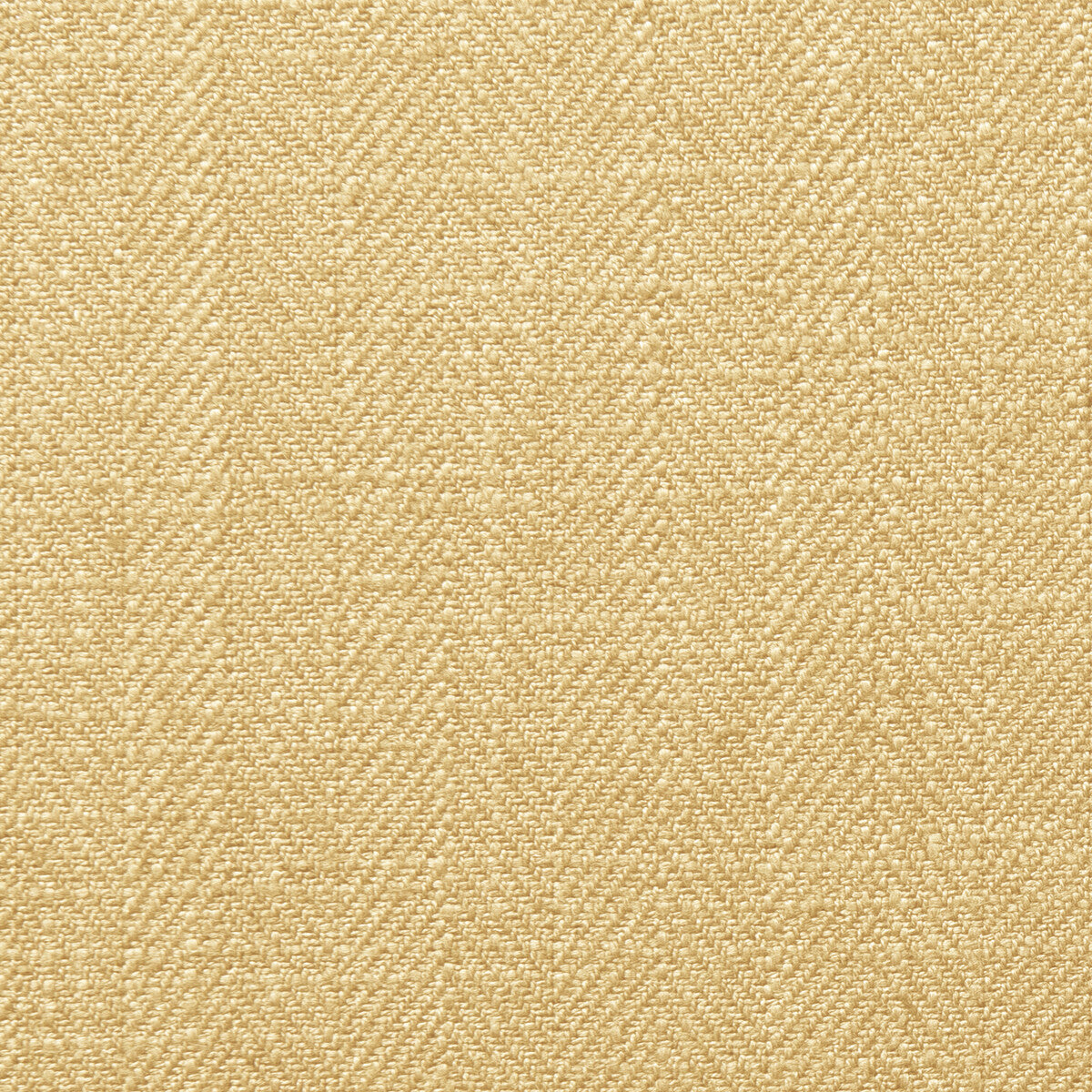 Clarke & Clarke Henley Honey Fabric Sample F0648/17.CAC.0