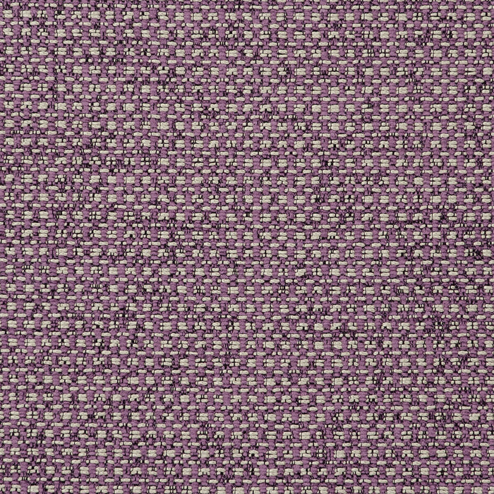 Clarke & Clarke Casanova Orchid Fabric Sample F0723/13.CAC.0