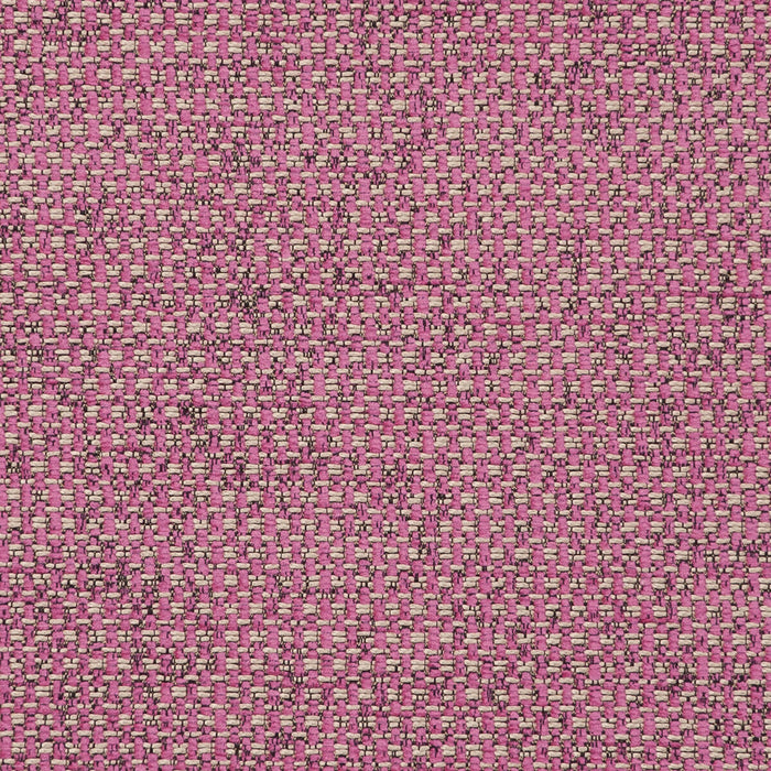 Clarke & Clarke Casanova Sorbet Fabric Sample F0723/21.CAC.0