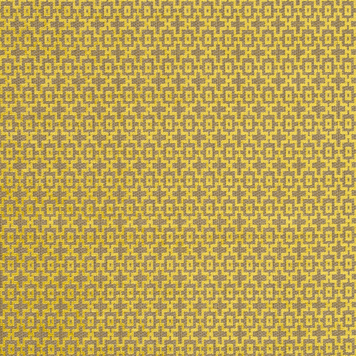 Clarke & Clarke Mansour Citrus Fabric Sample F0807/02.CAC.0