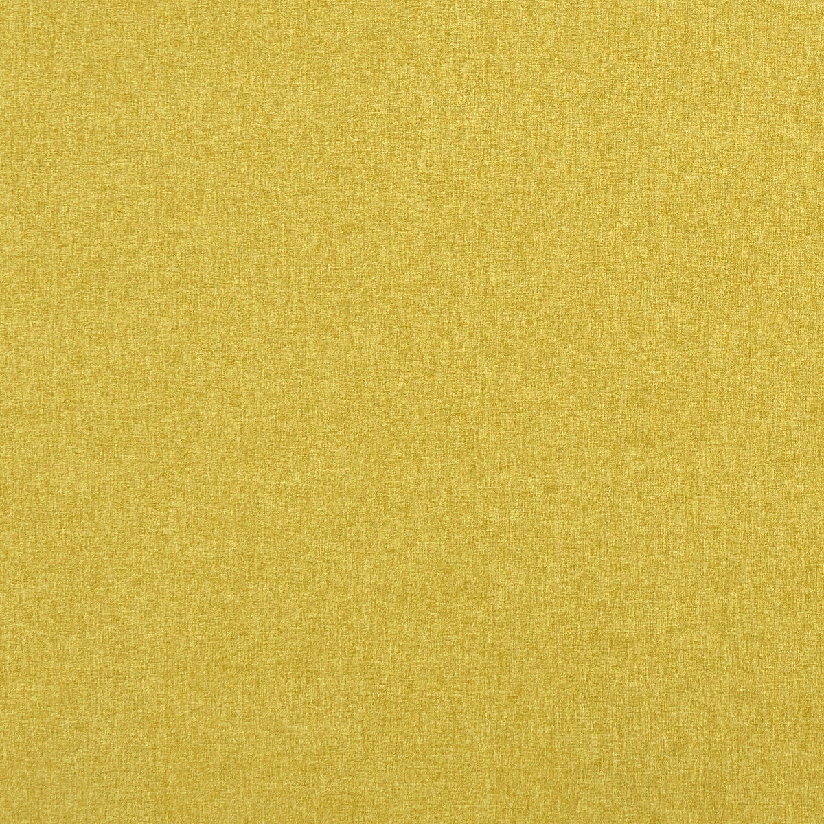 Clarke & Clarke Highlander Sunshine Fabric Sample F0848/70.CAC.0