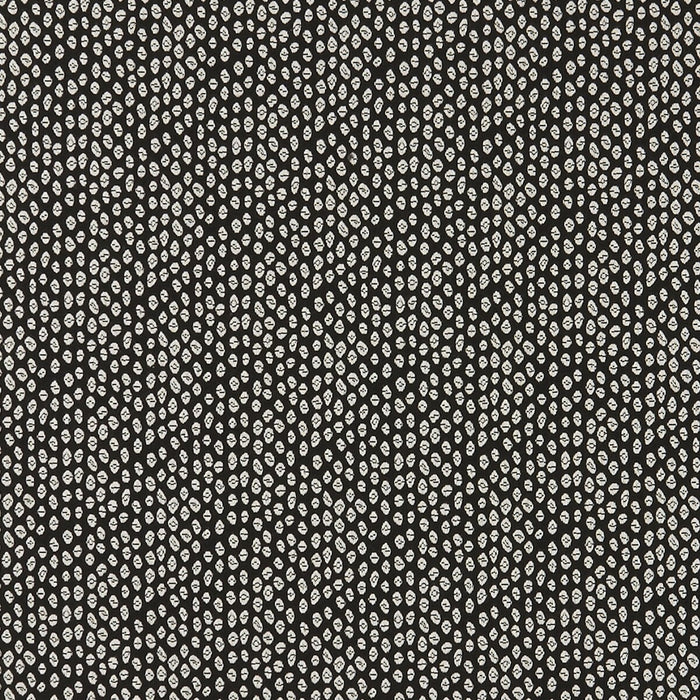 Clarke & Clarke Bw1015 Black/White Fabric Sample F0888/01.CAC.0