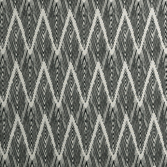 Clarke & Clarke Bw1022 Black/White Fabric Sample F0895/01.CAC.0