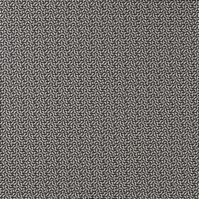 Clarke & Clarke Bw1030 Black/White Fabric Sample F0903/01.CAC.0