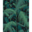 Cole & Son Palm Jungle Viri/Pet On Blk Fabric Sample F111/2004V.CS.0