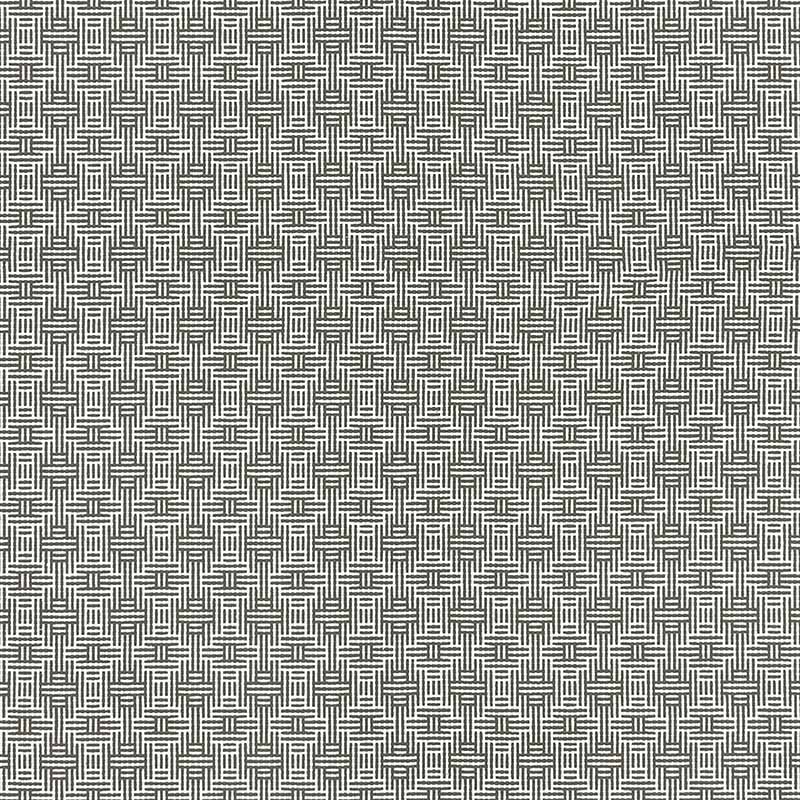 Clarke & Clarke Aztec Charcoal Fabric Sample F1438/01.CAC.0