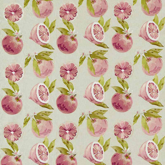 Clarke & Clarke Agrias Grapefruit Fabric Sample F1506/01.CAC.0