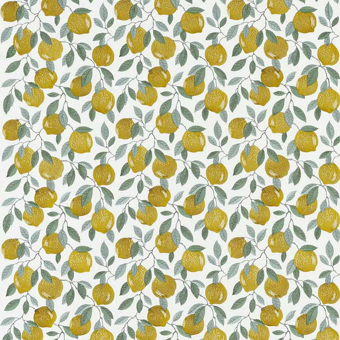 Clarke & Clarke Sicilian Lemon Fabric Sample F1508/01.CAC.0