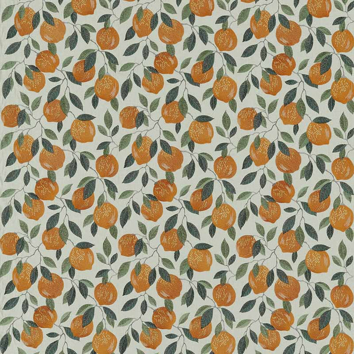 Clarke & Clarke Sicilian Orange Fabric Sample F1508/02.CAC.0