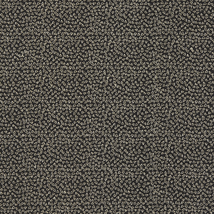 Clarke & Clarke Ricamo Nero Fabric Sample F1548/03.CAC.0