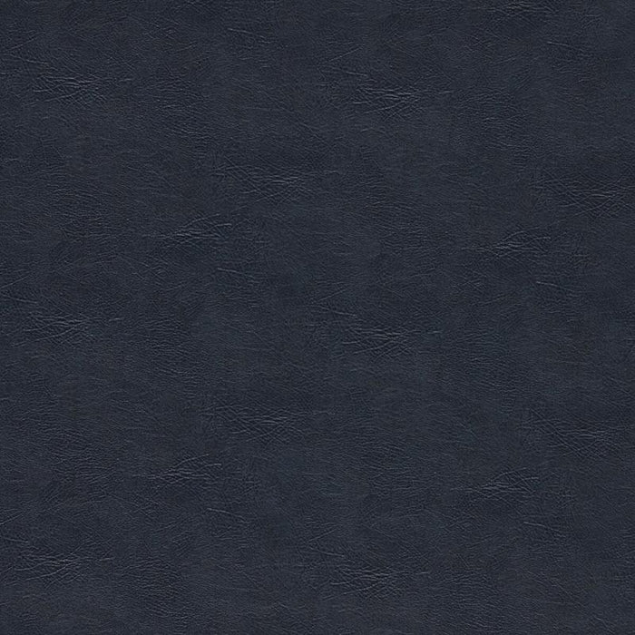 Clarke & Clarke Dawson Midnight Fabric F1598/09.CAC.0