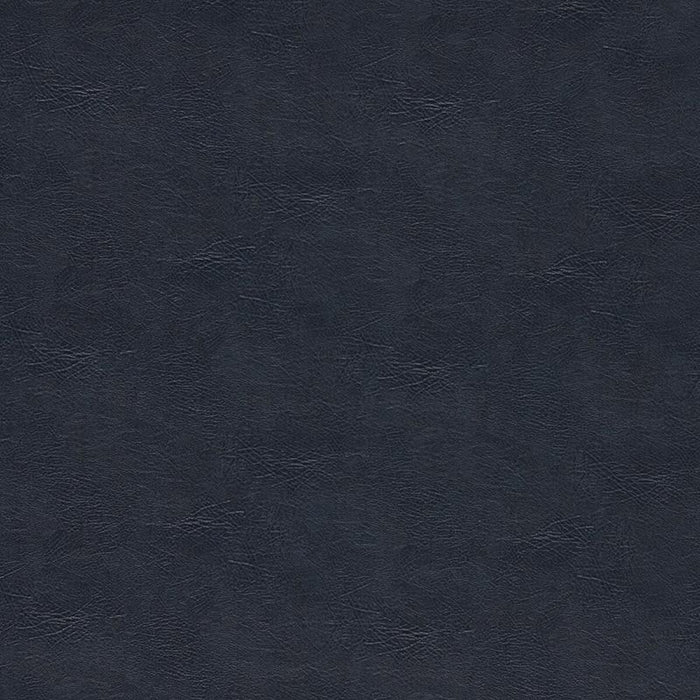 Clarke & Clarke Dawson Midnight Fabric Sample F1598/09.CAC.0