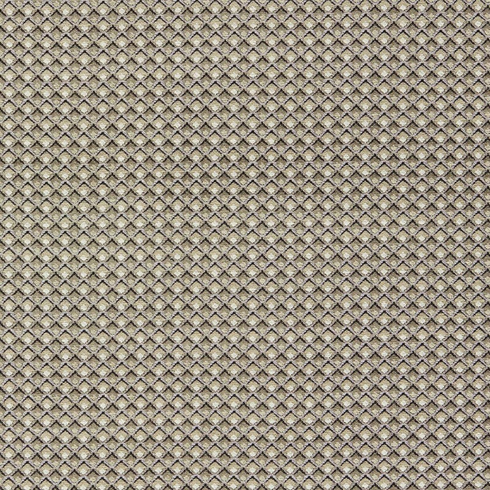 Clarke & Clarke Lyra Natural Fabric Sample F1617/02.CAC.0