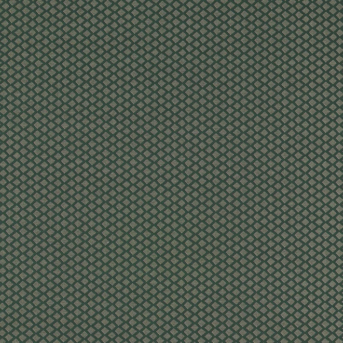 Clarke & Clarke Equator Forest Fabric F1618/01.CAC.0