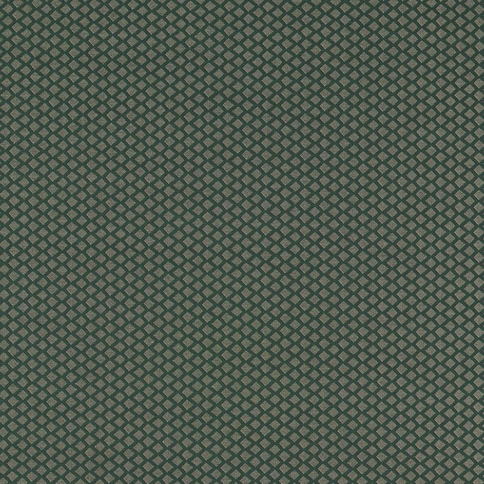 Clarke & Clarke Equator Forest Fabric Sample F1618/01.CAC.0