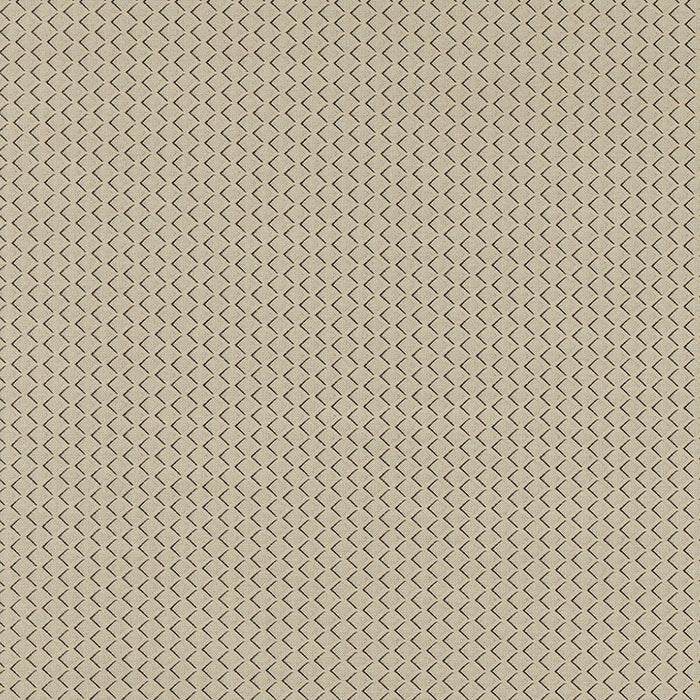 Clarke & Clarke Equator Natural Fabric F1618/03.CAC.0