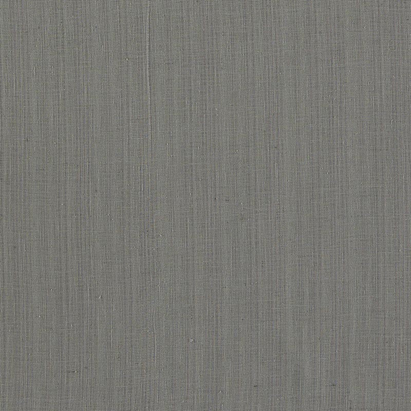 Clarke & Clarke Remo Charcoal Fabric F1665/02.CAC.0