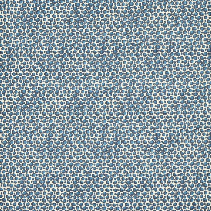 Clarke & Clarke Pokot Caribbean Fabric Sample F1714/01.CAC.0