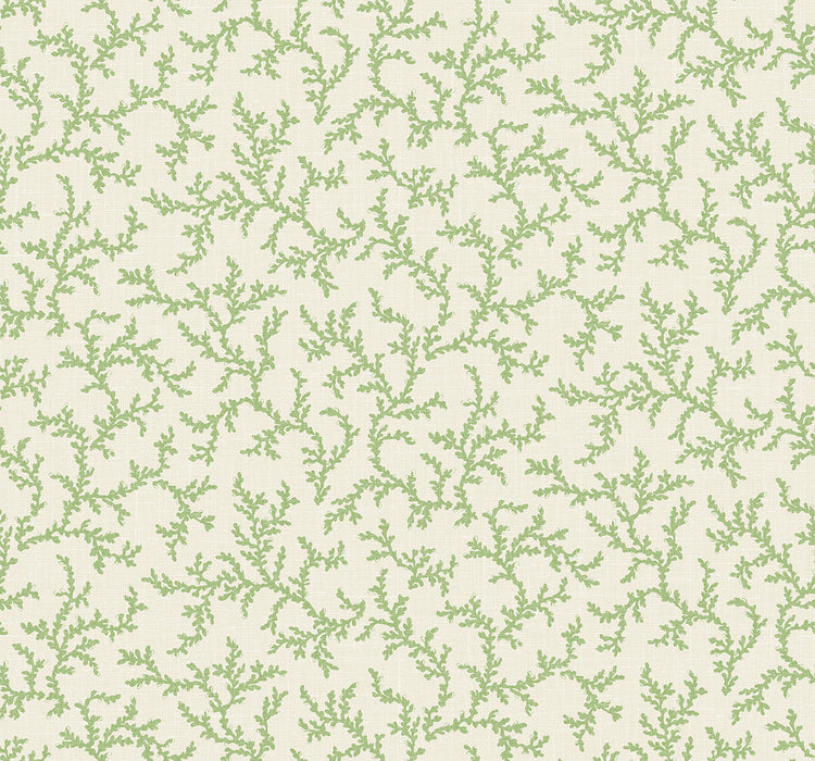 Seabrook Designs Corail Herb Wallpaper Sample FC62104