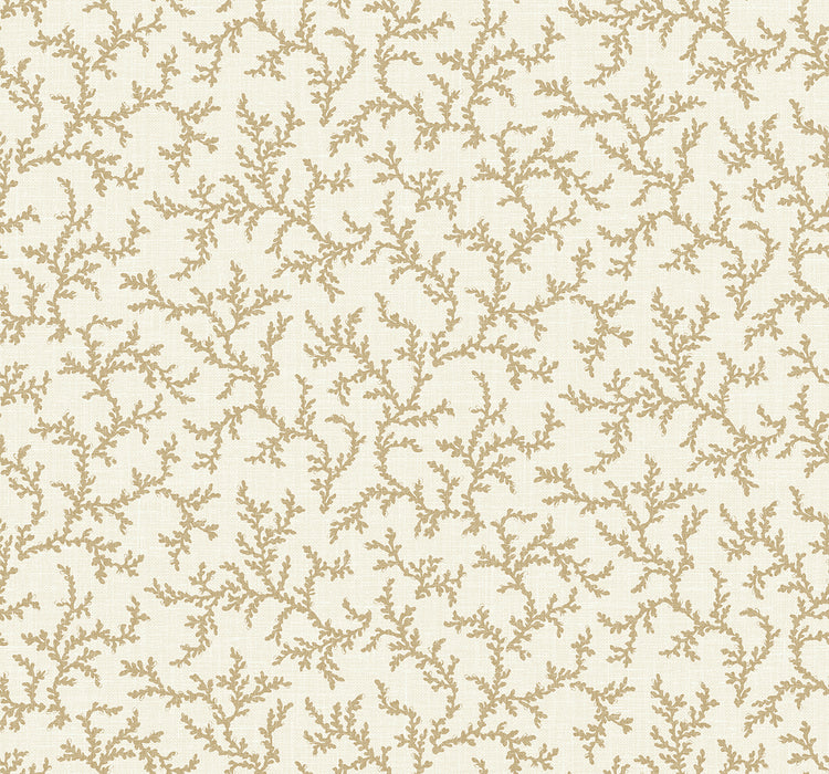 Seabrook Designs Corail Driftwood Wallpaper FC62106