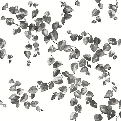 York Creeping Fig Vine Black & White Wallpaper FH4038