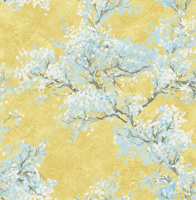 Seabrook Designs Cherry Blossoms Gold, White, And Sky Blue Wallpaper Sample FI71103