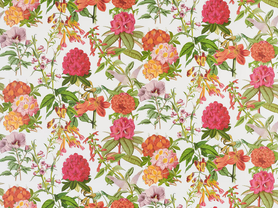 Pierre Frey Les Rosages Rouge Wallpaper Sample FP757001