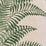 Alan Campbell Fern Cliff Leaf Green Fabric Sample 304210F-06