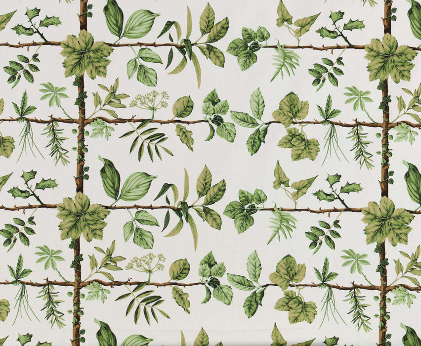 Pierre Frey Espalier Foin Fabric Sample F2236002