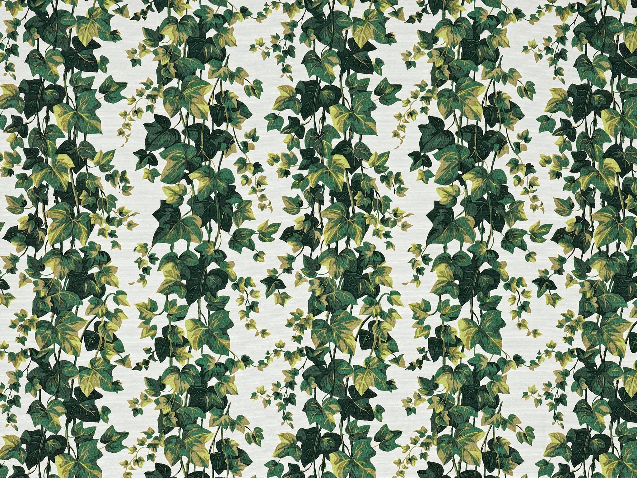 Pierre Frey Le Lierre Vegetal Fabric F3755001