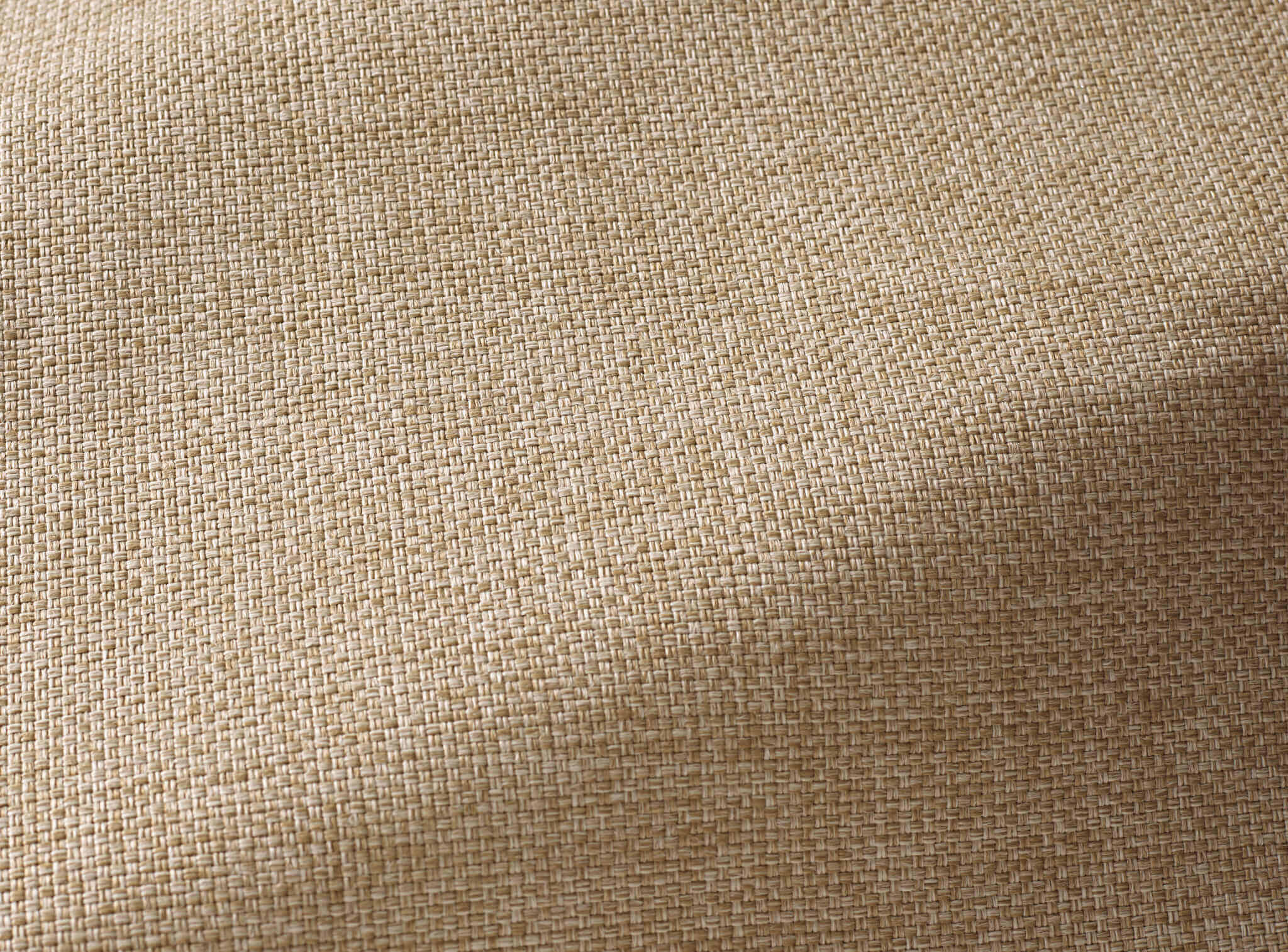 Pierre Frey Heron Mastic Fabric F3416002