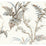 York Enchanted Fern Beige & Grey Wallpaper GR5992