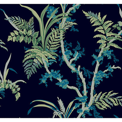 York Enchanted Fern Navy & Green Wallpaper GR5996