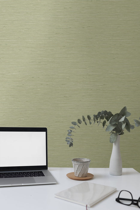 Seabrook Designs Bangkok Fall Green Wallpaper Sample GT30119