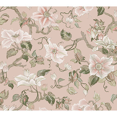 York Marguerite Vine Blush Wallpaper GT4511