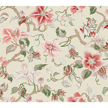 York Marguerite Vine Cream Wallpaper GT4513