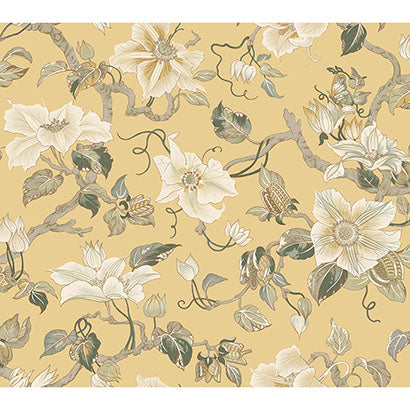 York Marguerite Vine Yellow Wallpaper GT4515