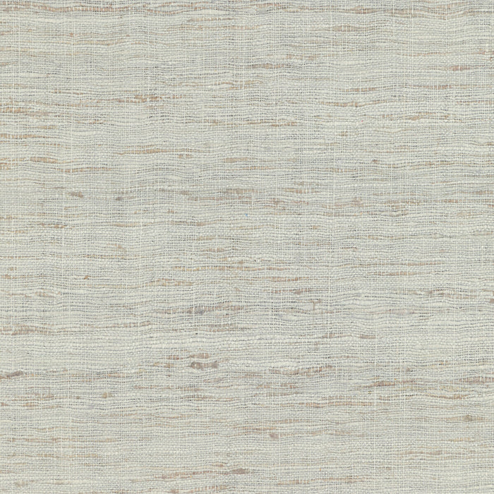 Lee Jofa Modern Sonoma Salt Fabric Sample GWF-3109.1.0